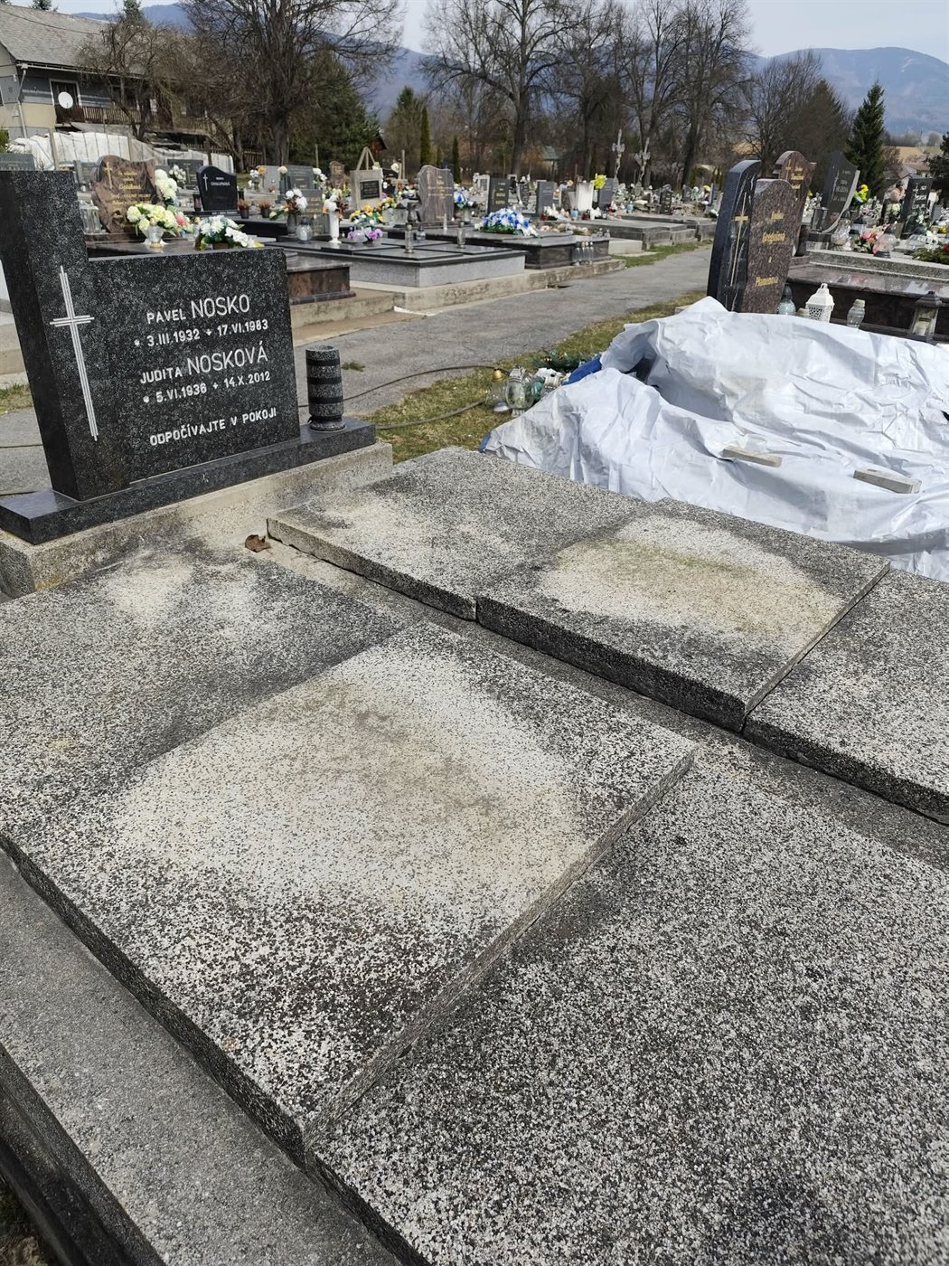 Pomník pred čistením — zašpinený kameň, machy, rias a usadeniny, stará patina